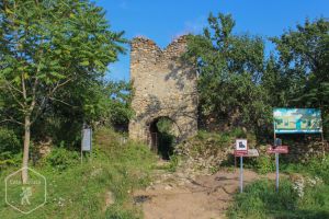 Cetatea feudală Sălașu de Sus