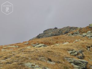 Vârful Pietrosul Rodnei (2303 m)