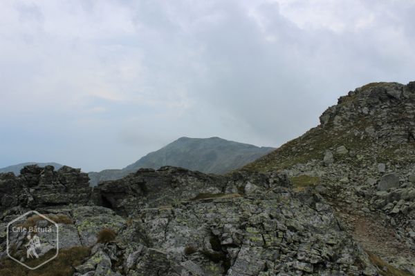 Vârful Parângul Mare (2519 m)