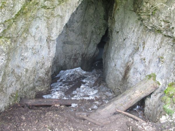 Peștera Ghețarul de la Barsa