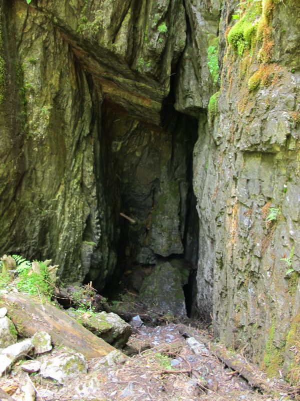 Peștera Zapodie