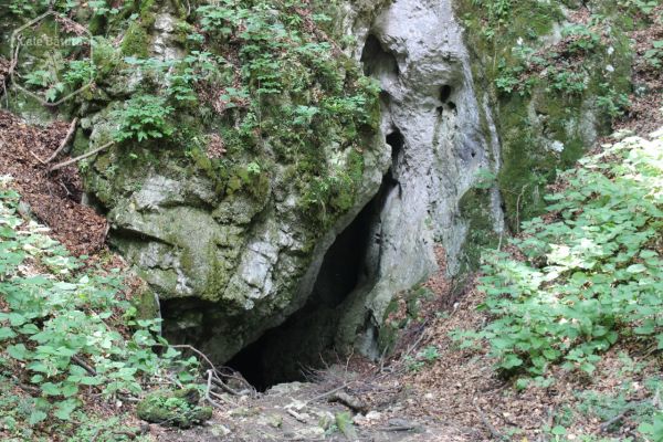 Peștera Râșnoavei